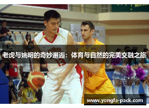 老虎与姚明的奇妙邂逅：体育与自然的完美交融之旅
